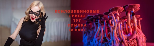стафф Елабуга