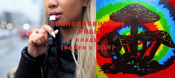 стафф Елабуга